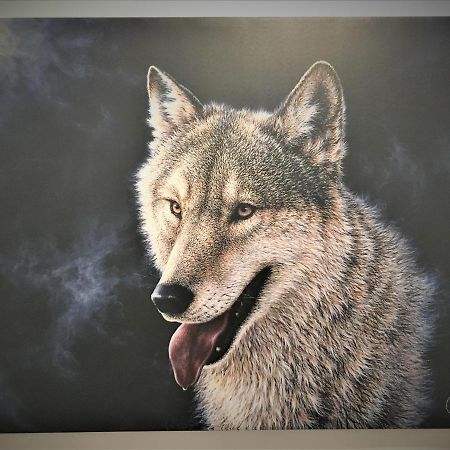 White Wolf Apartment Braşov Dış mekan fotoğraf