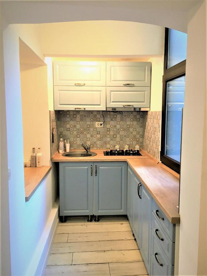 White Wolf Apartment Braşov Dış mekan fotoğraf