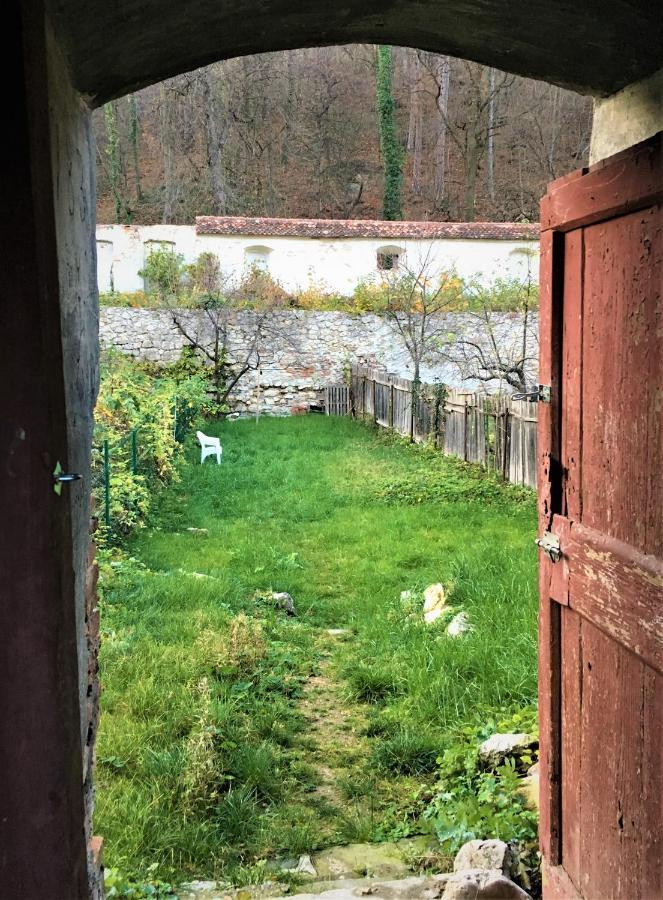 White Wolf Apartment Braşov Dış mekan fotoğraf