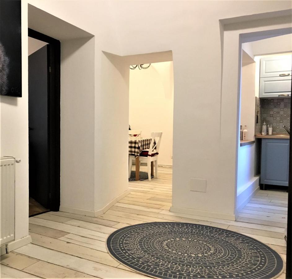 White Wolf Apartment Braşov Dış mekan fotoğraf