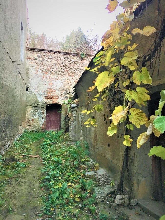 White Wolf Apartment Braşov Dış mekan fotoğraf